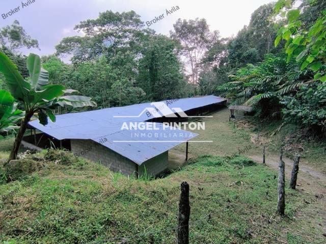 #8363 - GRANJA / FINCA para Venta en Valera - T - 3