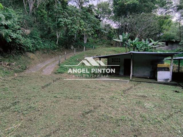 #8363 - GRANJA / FINCA para Venta en Valera - T - 1