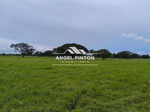 #8364 - GRANJA / FINCA para Venta en Sabana de Mendoza - T - 1