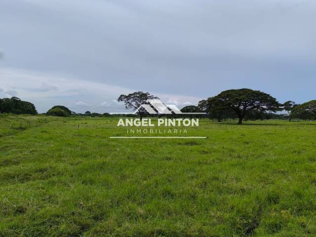 #8364 - GRANJA / FINCA para Venta en Sabana de Mendoza - T - 2