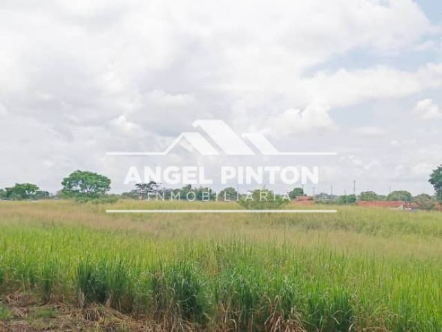 #8516 - TERRENO para Venta en Acarigua - P - 1