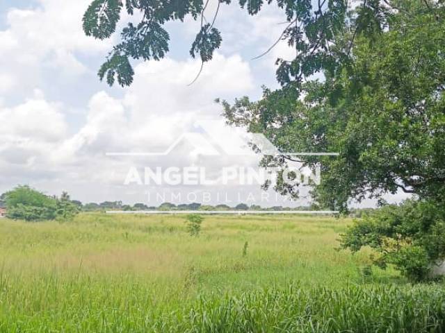 #8516 - TERRENO para Venta en Acarigua - P - 3