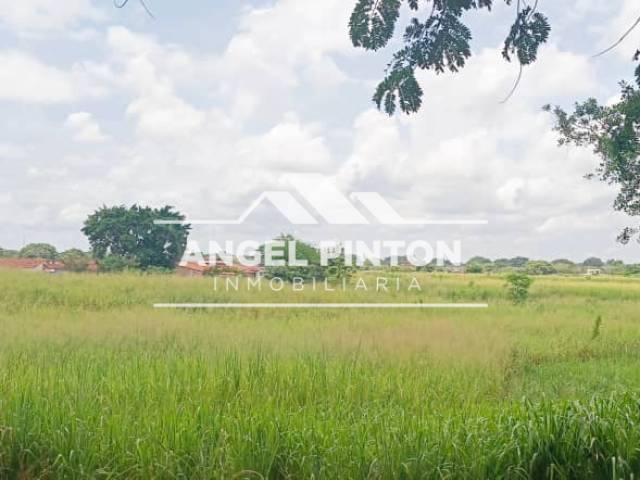 TERRENO para Venta en Acarigua - 4