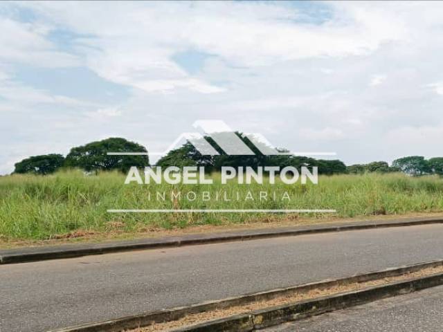 #8517 - TERRENO para Venta en Acarigua - P - 1