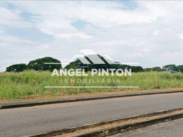 #8517 - TERRENO para Venta en Acarigua - P - 3