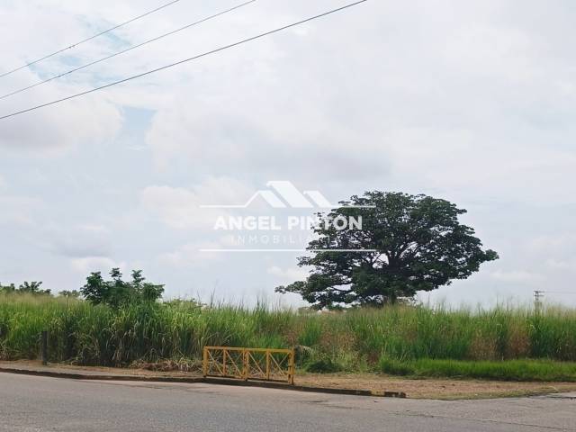 TERRENO para Venta en Acarigua - 4