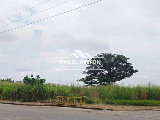 #8517 - TERRENO para Venta en Acarigua - P - 2