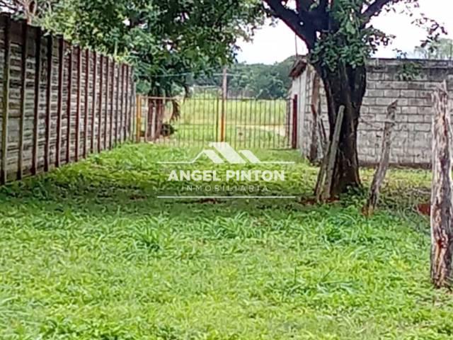 #8518 - TERRENO para Venta en Acarigua - P - 3