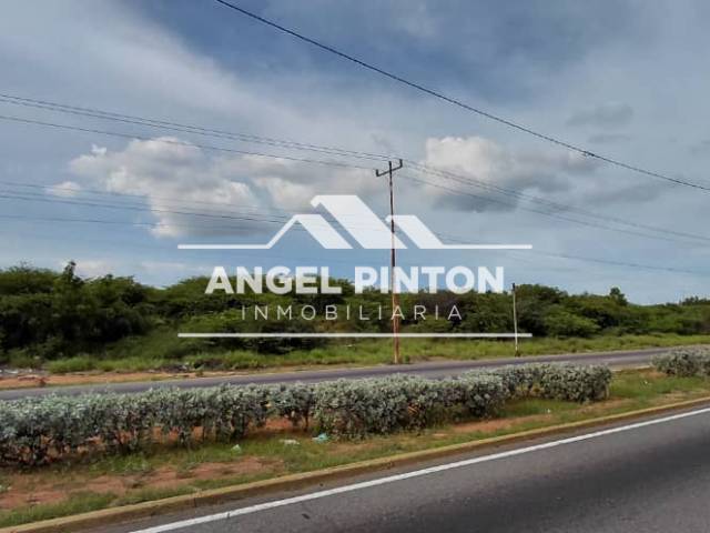TERRENO para Venta en Maracaibo - 5