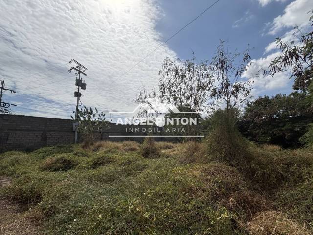 #7064 - TERRENO para Venta en San Francisco - V - 1