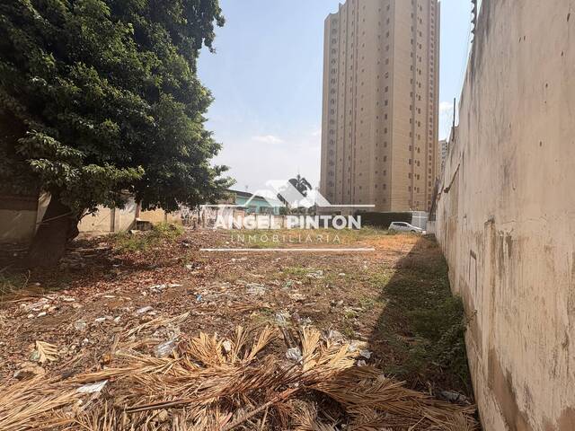 #8578 - TERRENO para Venta en Maracaibo - V - 2