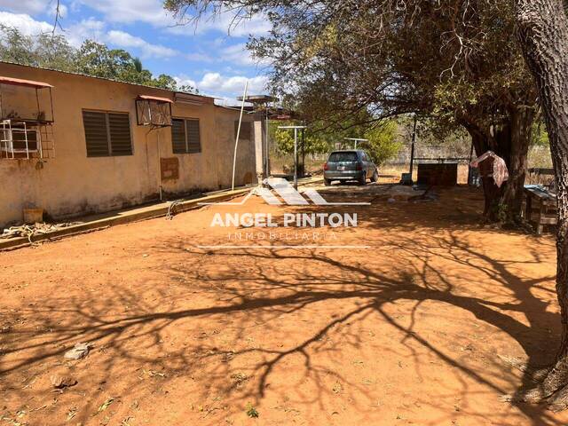 #8685 - TERRENO para Venta en San Francisco - V - 3