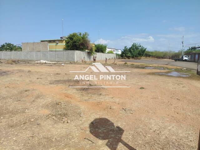 #8693 - TERRENO para Venta en San Francisco - V - 3