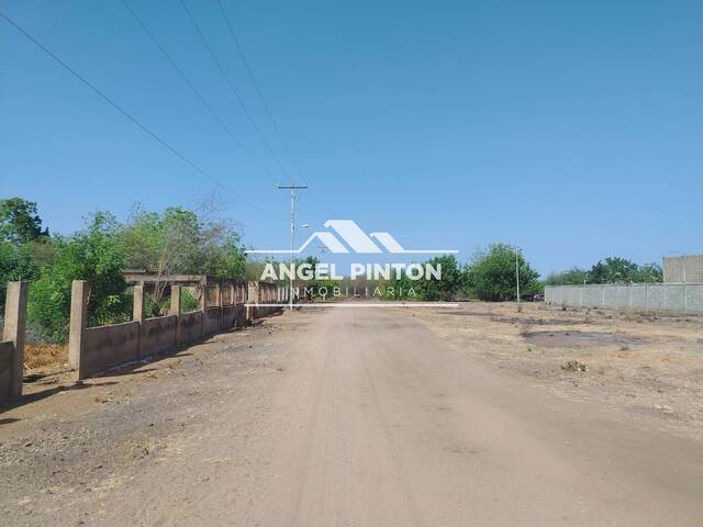 #86994 - TERRENO para Venta en San Francisco - V - 3