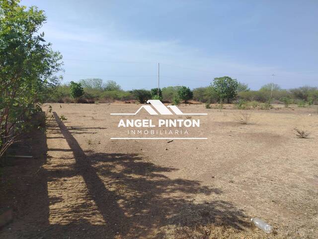 #8696 - TERRENO para Venta en San Francisco - V - 1