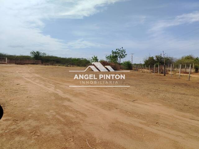 #8698 - TERRENO para Venta en San Francisco - V - 1