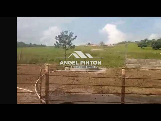 #87747 - GRANJA / FINCA para Venta en Machiques - V - 2