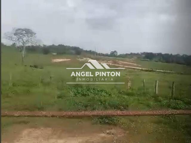 GRANJA / FINCA para Venta en Machiques - 5