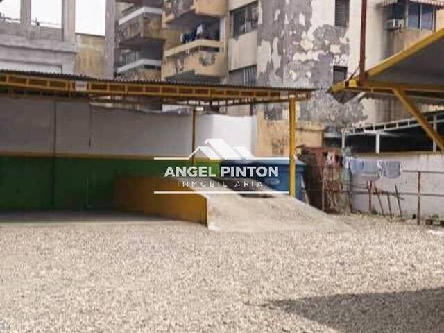 TERRENO para Alquiler en Acarigua - 5
