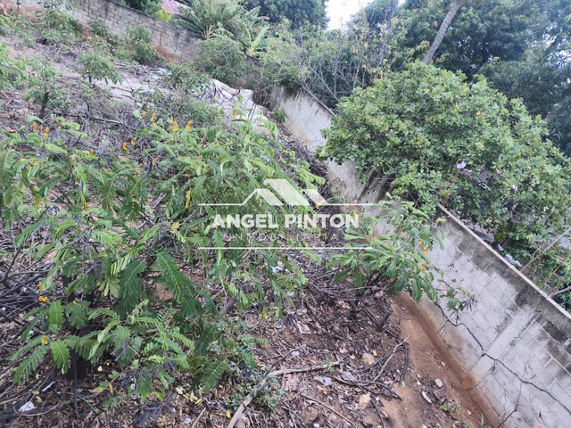 #8816 - TERRENO para Venta en San Francisco - V - 1