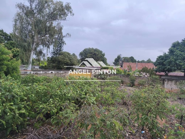 #8816 - TERRENO para Venta en San Francisco - V - 3