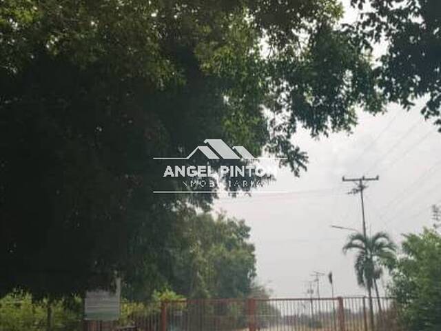 #8819 - TERRENO para Venta en Araure - P - 2