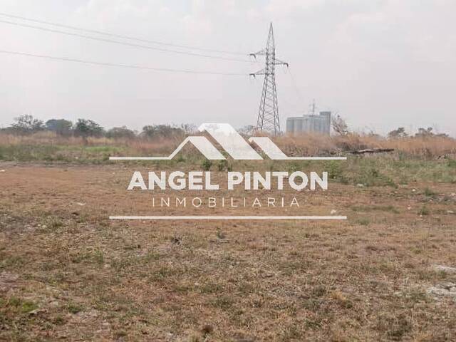 #8819 - TERRENO para Venta en Araure - P - 1