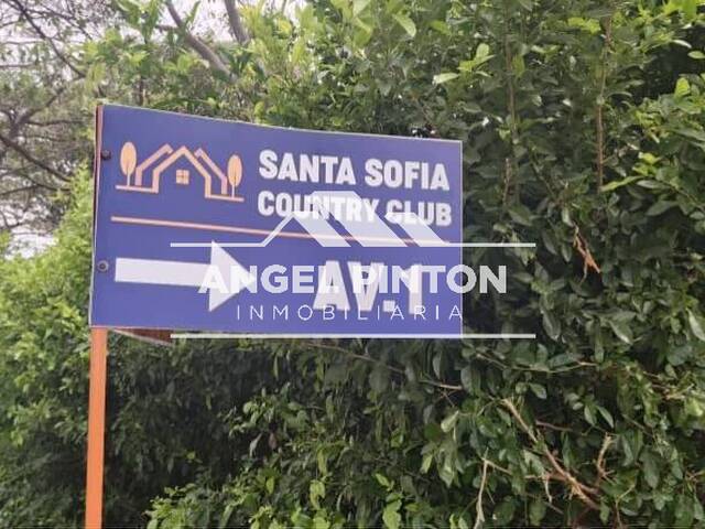 #8820 - TERRENO para Venta en Araure - P - 1