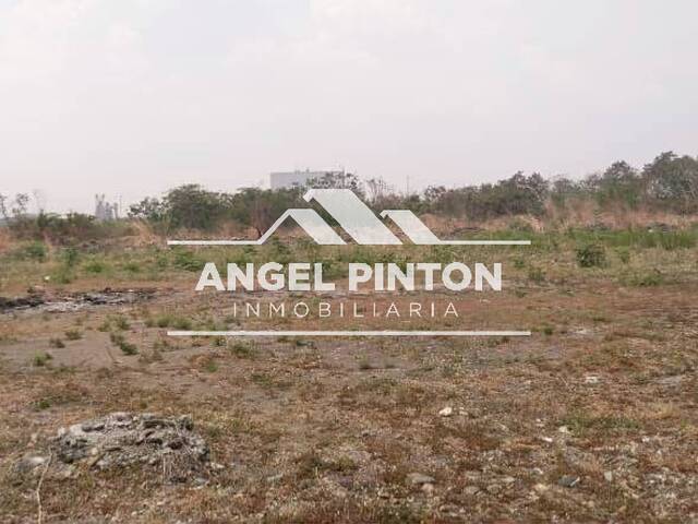 #8820 - TERRENO para Venta en Araure - P - 3