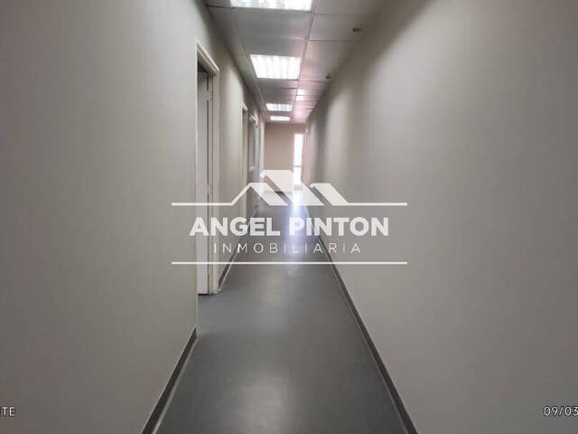 #8904 - OFICINA para Alquiler en Maracaibo - V - 2
