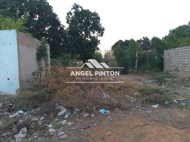 #10109 - TERRENO para Venta en San Francisco - V - 2