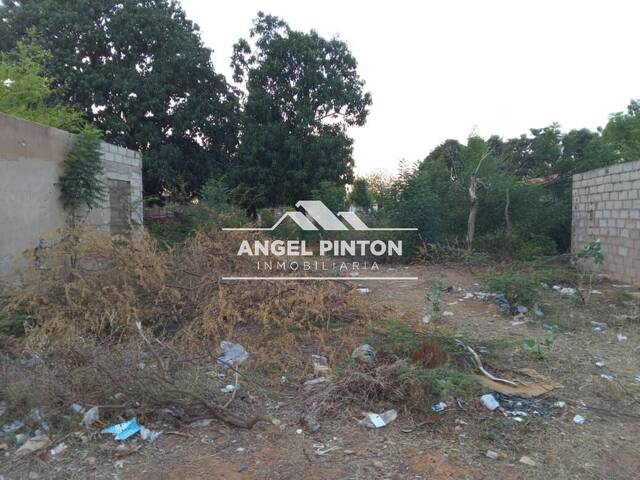 #10107 - TERRENO para Venta en San Francisco - V - 2