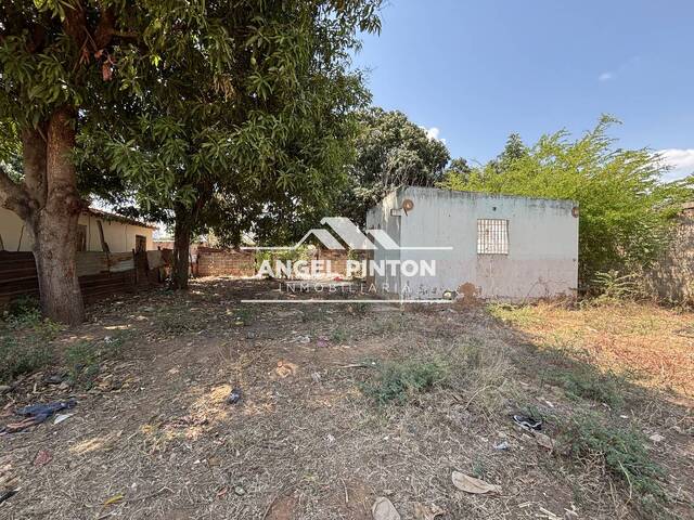 #10108 - TERRENO para Venta en Maracaibo - V