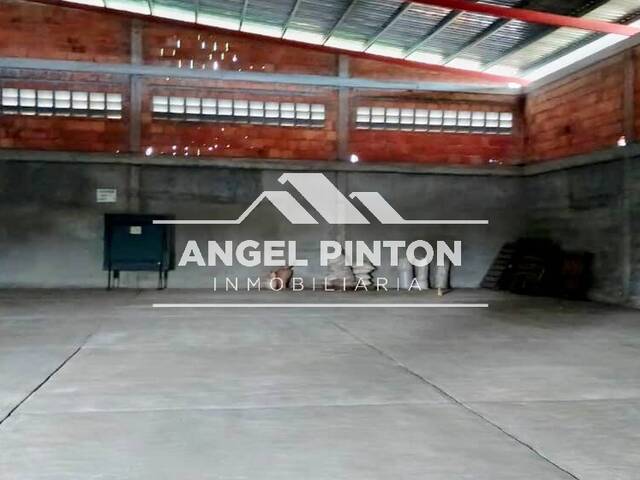 #9019 - GALPÓN / BODEGA para Alquiler en Araure - P