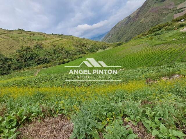 #9024 - GRANJA / FINCA para Venta en Valera - T