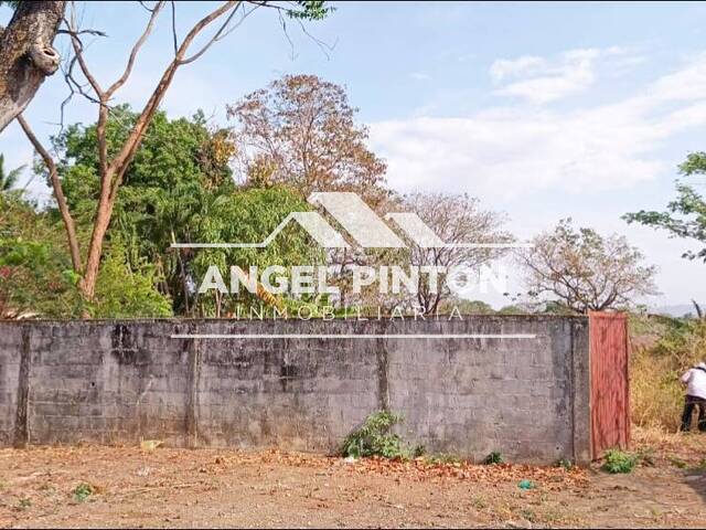 #9039 - TERRENO para Venta en Acarigua - P