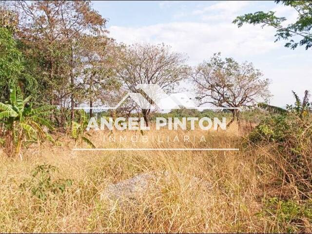 #9039 - TERRENO para Venta en Acarigua - P