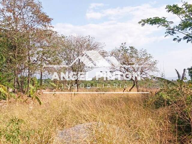 #9039 - TERRENO para Venta en Acarigua - P