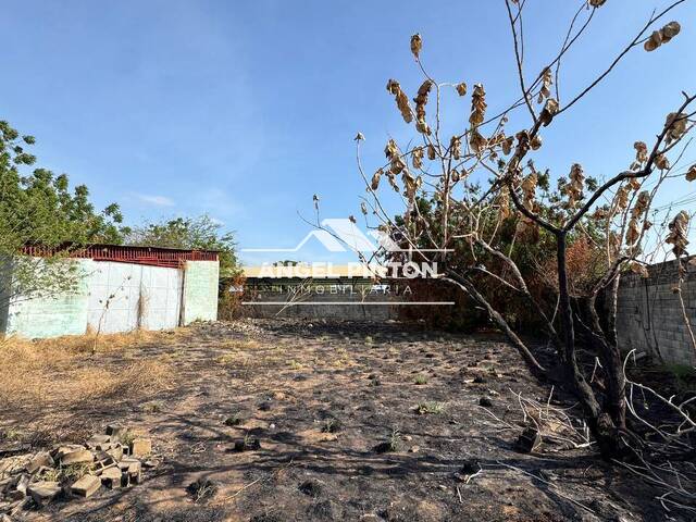 GALPÓN / BODEGA para Venta en San Francisco - 4
