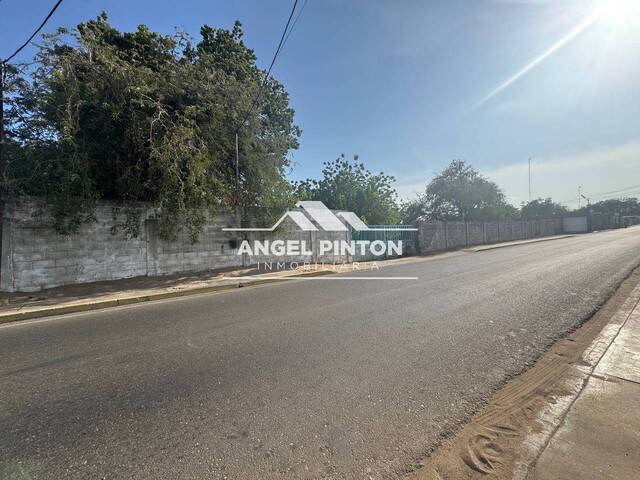 #90910 - GALPÓN / BODEGA para Venta en San Francisco - V - 2