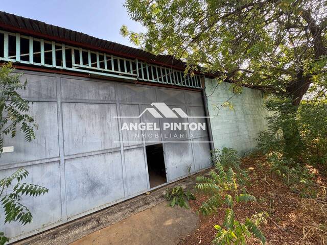 GALPÓN / BODEGA para Venta en San Francisco - 5