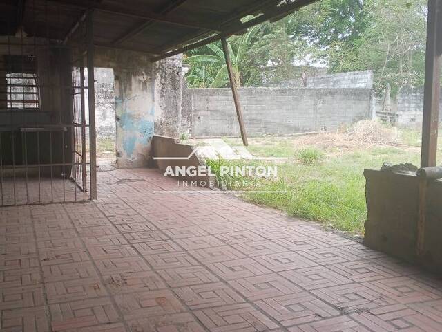 LOCAL COMERCIAL para Venta en Acarigua - 3