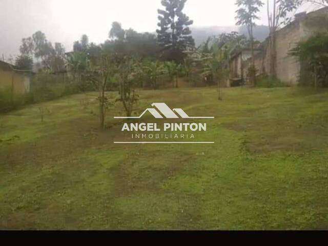 #9279 - CHALET para Venta en Escuque - T - 2