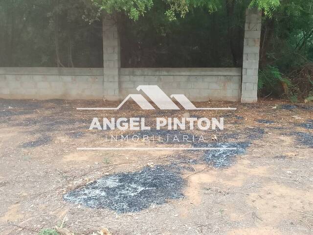TERRENO para Venta en Maracaibo - 4