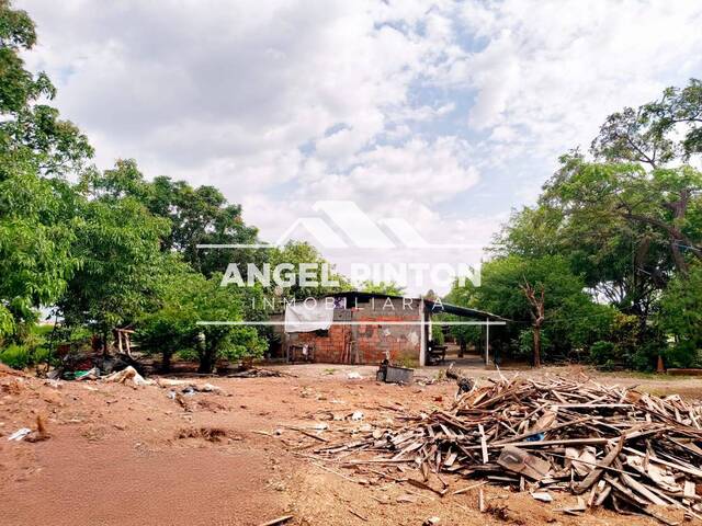 #9364 - TERRENO para Venta en Acarigua - P - 3