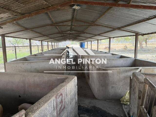 #9420 - GRANJA / FINCA para Venta en Maracaibo - V - 3