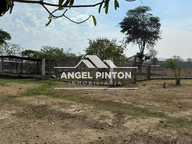 #9420 - GRANJA / FINCA para Venta en Maracaibo - V - 2