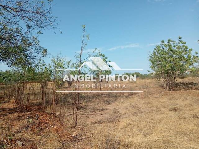 #9465 - TERRENO para Venta en Maracaibo - V - 2