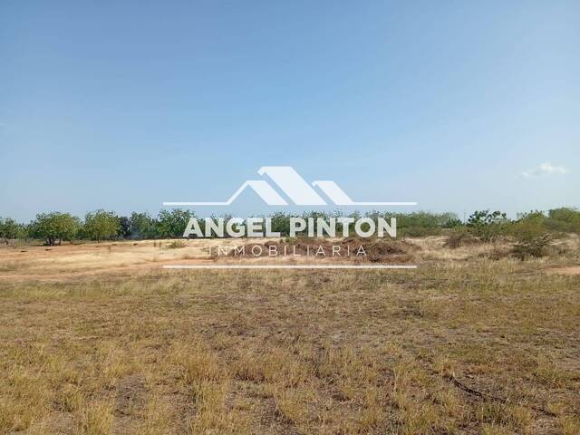 #9465 - TERRENO para Venta en Maracaibo - V - 3