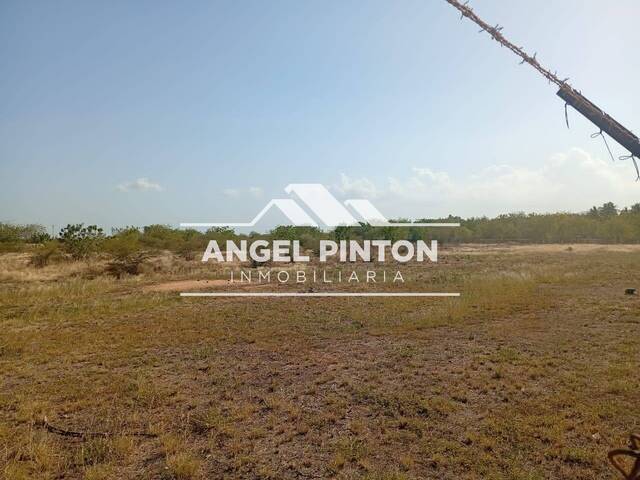 #9465 - TERRENO para Venta en Maracaibo - V - 1